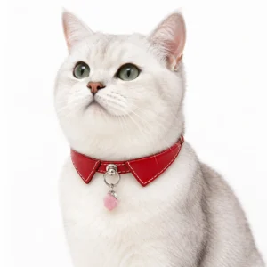 Rose Quartz Cat Collar – Ruby Charm