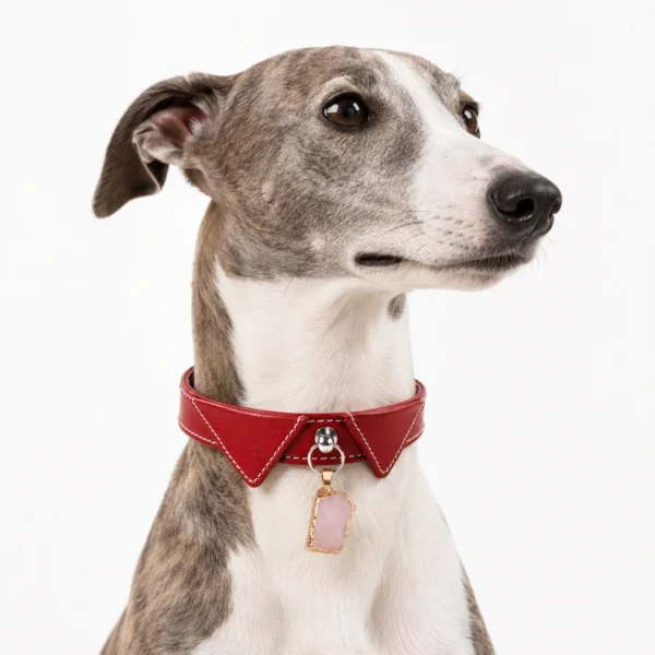 Rose Quartz Dog Collar – Crimson Charm Design