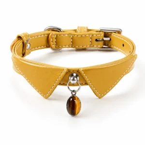 Tiger Eye Gemstone Dog Collar – Golden Bow