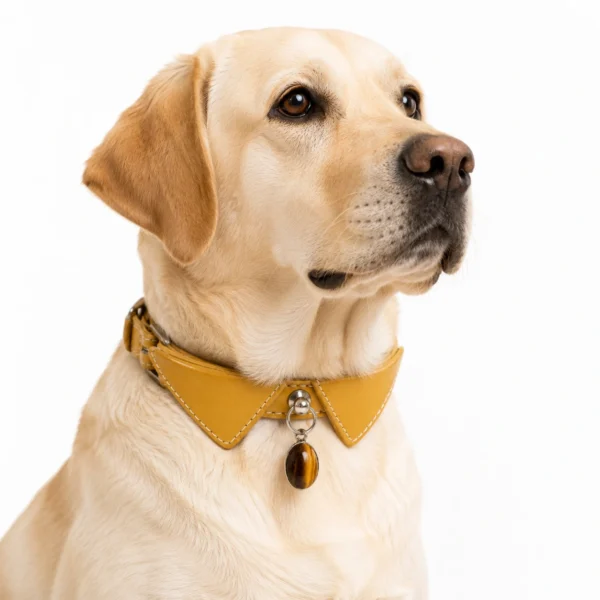 Tiger Eye Gemstone Dog Collar – Golden Bow