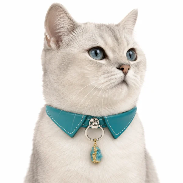 Apatite Crystal Cat Collar Charm – Turquoise Elegant Pendant