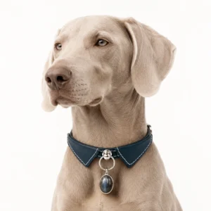 Blue Tiger Eye Dog Collar Charm – Elegant Leather Pet Collar