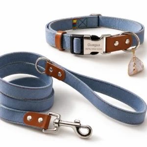 Clear Quartz Crystal Dog Collar – Denim Blue Handmade Charm