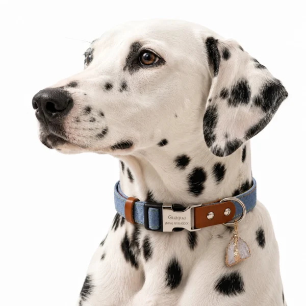 Clear Quartz Crystal Dog Collar – Denim Blue Handmade Charm