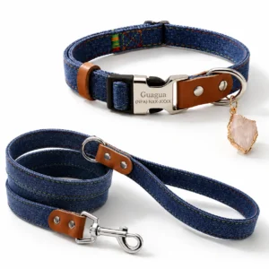 Natural Clear Quartz Denim Dog Collar with Genuine Crystal Charm