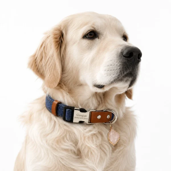 Natural Clear Quartz Denim Dog Collar with Genuine Crystal Charm