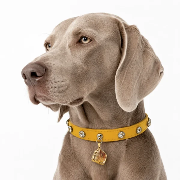 Citrine Gemstone Dog Collar – Golden Glow