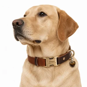Tiger Eye Dog Collar Set — Brown Leather Luxury Design
