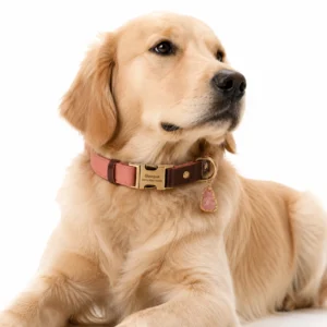 Rose Quartz Dog Collar Set – Blush Elegance
