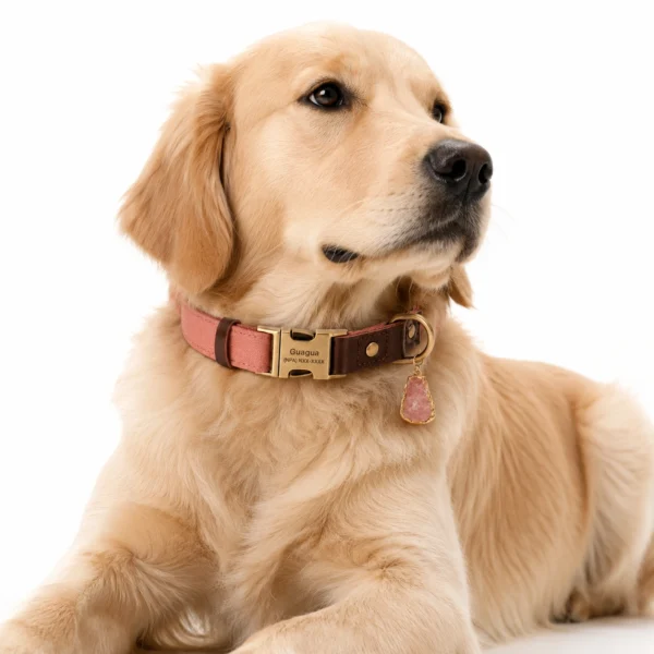 Rose Quartz Dog Collar Set – Blush Elegance