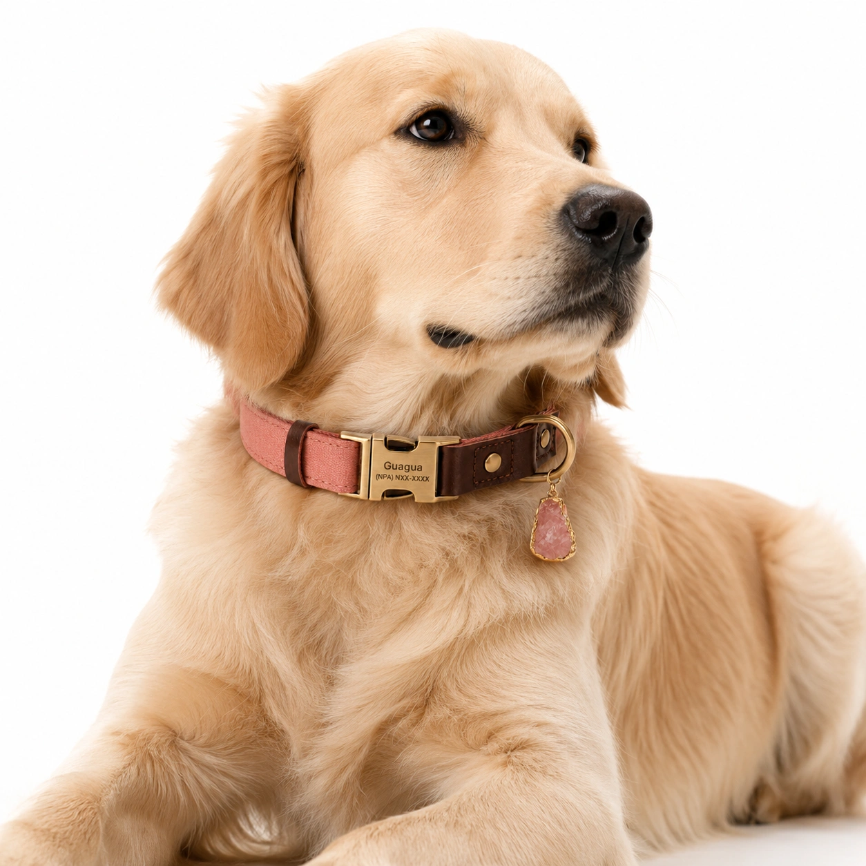 Rose Quartz Dog Collar Set – Blush Elegance