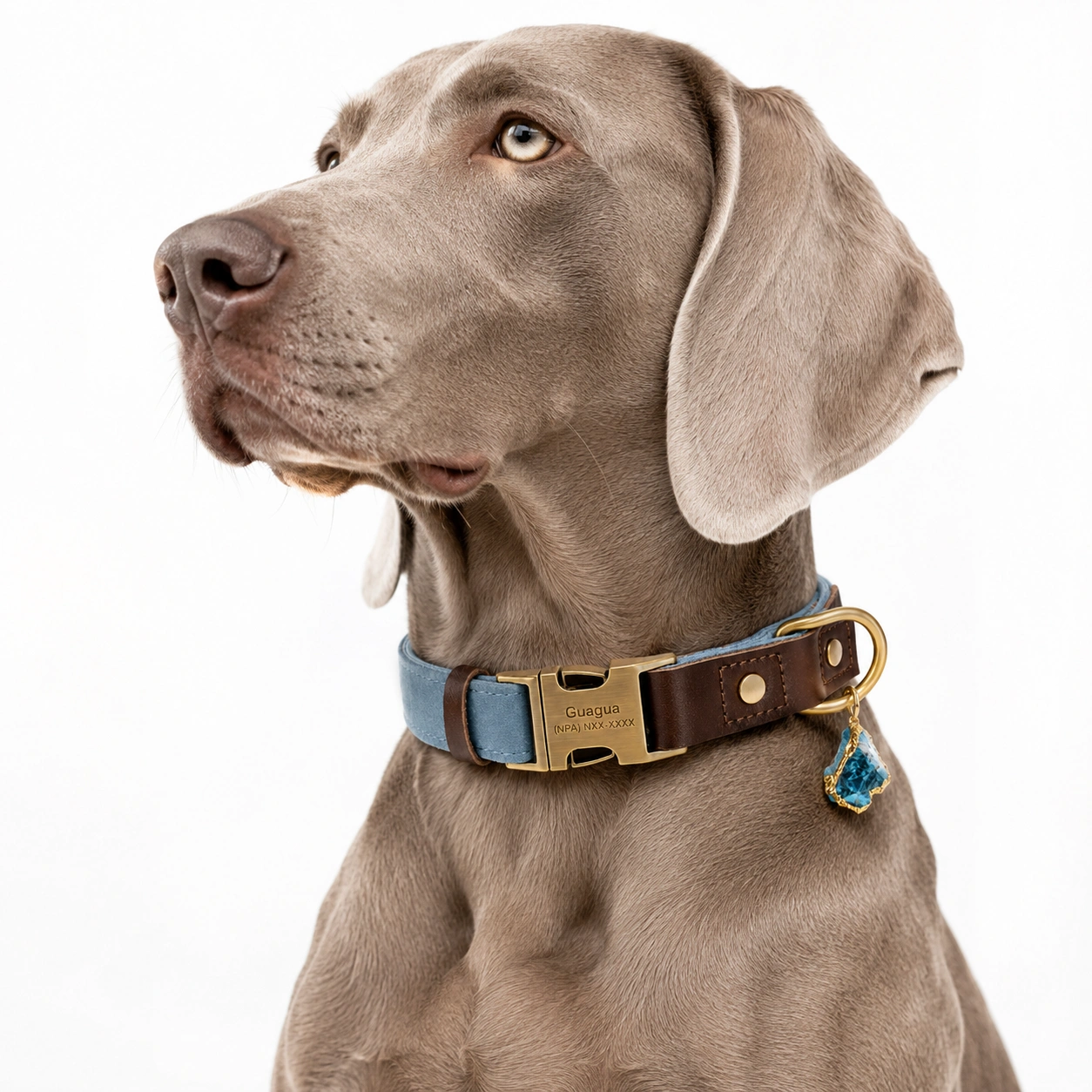 Dusty Blue Leather Dog Collar & Leash Set with Raw Blue Crystal Charm
