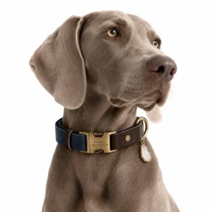 Clear Quartz Dog Collar Set - Navy Leather Design