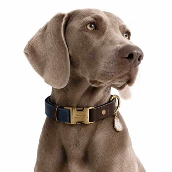 Clear Quartz Dog Collar Set - Navy Leather Design