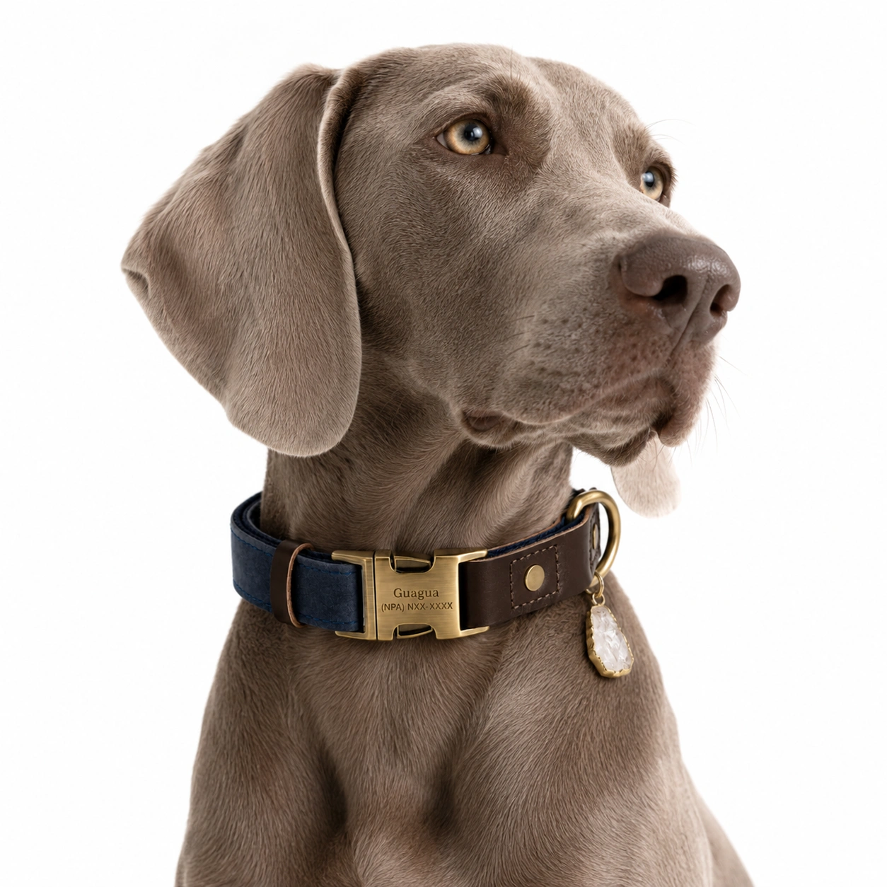 Clear Quartz Dog Collar Set - Navy Leather Design
