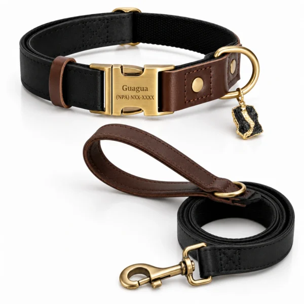 Black Tourmaline Dog Collar Set – Shadow Guard