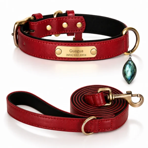 Labradorite Gemstone Dog Collar Set — Crimson