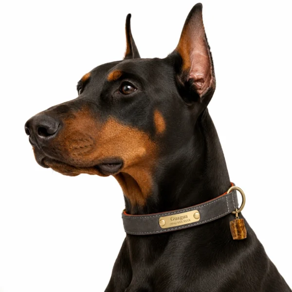 Tiger Eye Gemstone Dog Collar - Luxury Leather Design