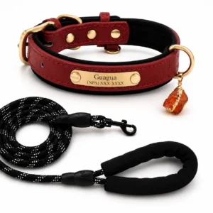 Red Agate Crystal Dog Collar Charm – Protection Pendant