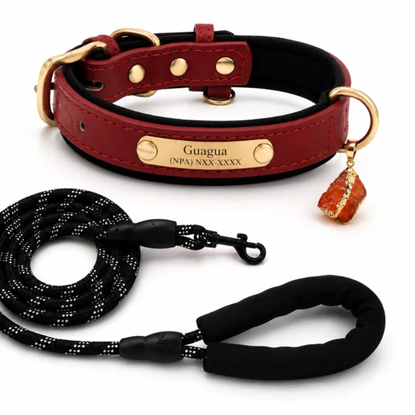 Red Agate Crystal Dog Collar Charm – Protection Pendant