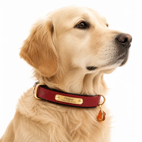 Red Agate Crystal Dog Collar Charm – Protection Pendant