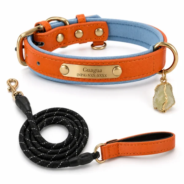 Personalized Leather Dog Collar with Raw Citrine Crystal Charm