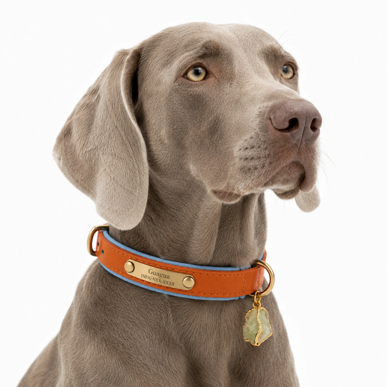 Sunstone Glow Leather Dog Collar & Rope Leash Set