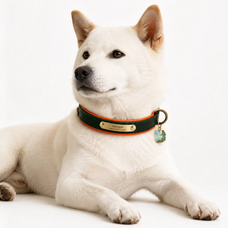 Green Aventurine Gemstone Dog Collar Set – Forest Luxe