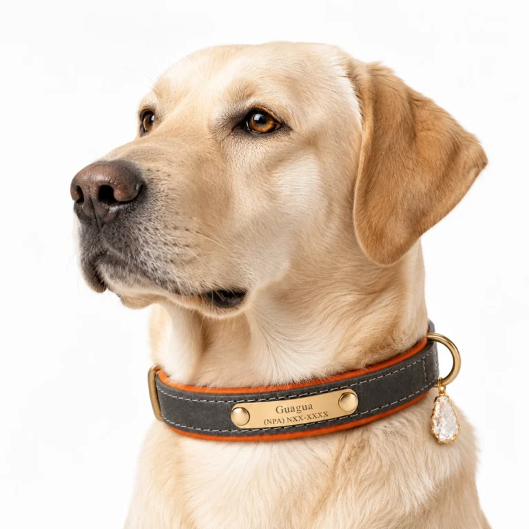 Gray Leather Gemstone Dog Collar Set - Elegant Crystal Charm Design