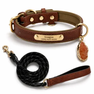Personalized Leather Dog Collar with Raw Red Agate Charm