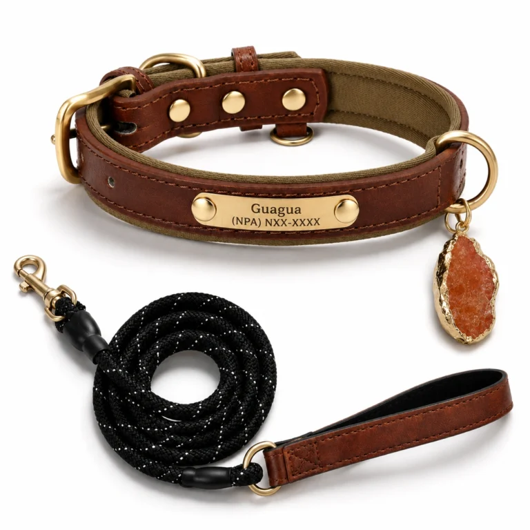 Personalized Leather Dog Collar with Raw Red Agate Charm