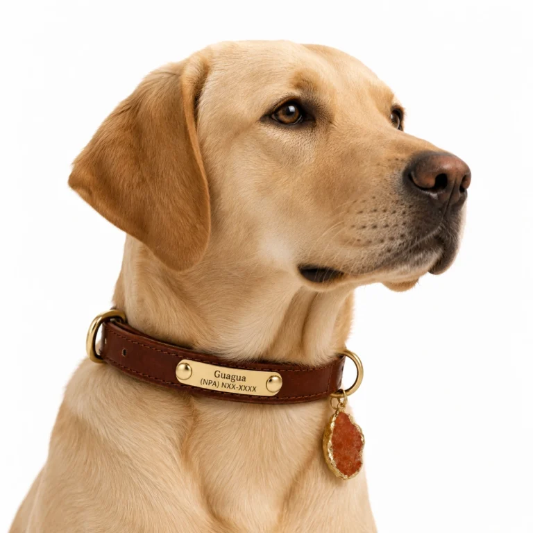 Personalized Leather Dog Collar with Raw Red Agate Charm