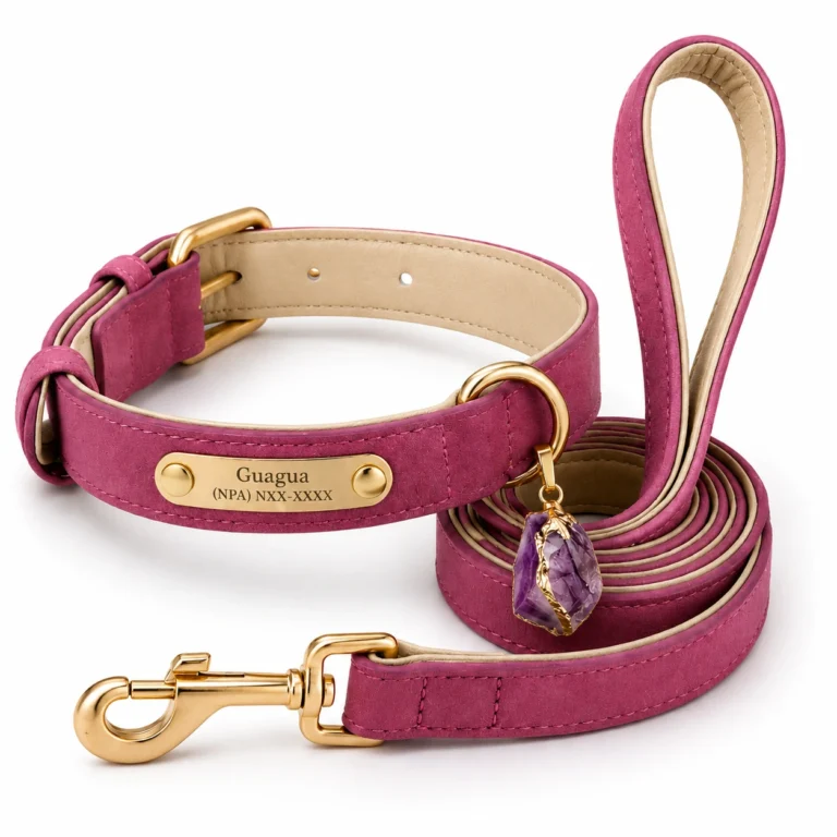 Amethyst Gemstone Dog Collar Set - Plum Leather