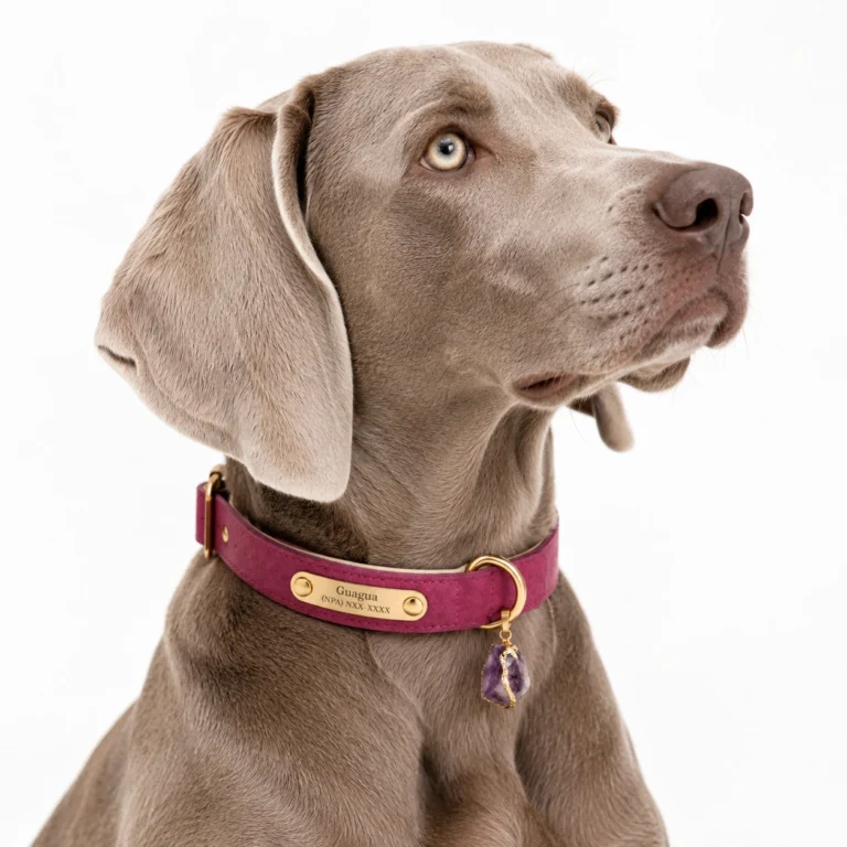 Amethyst Gemstone Dog Collar Set - Plum Leather