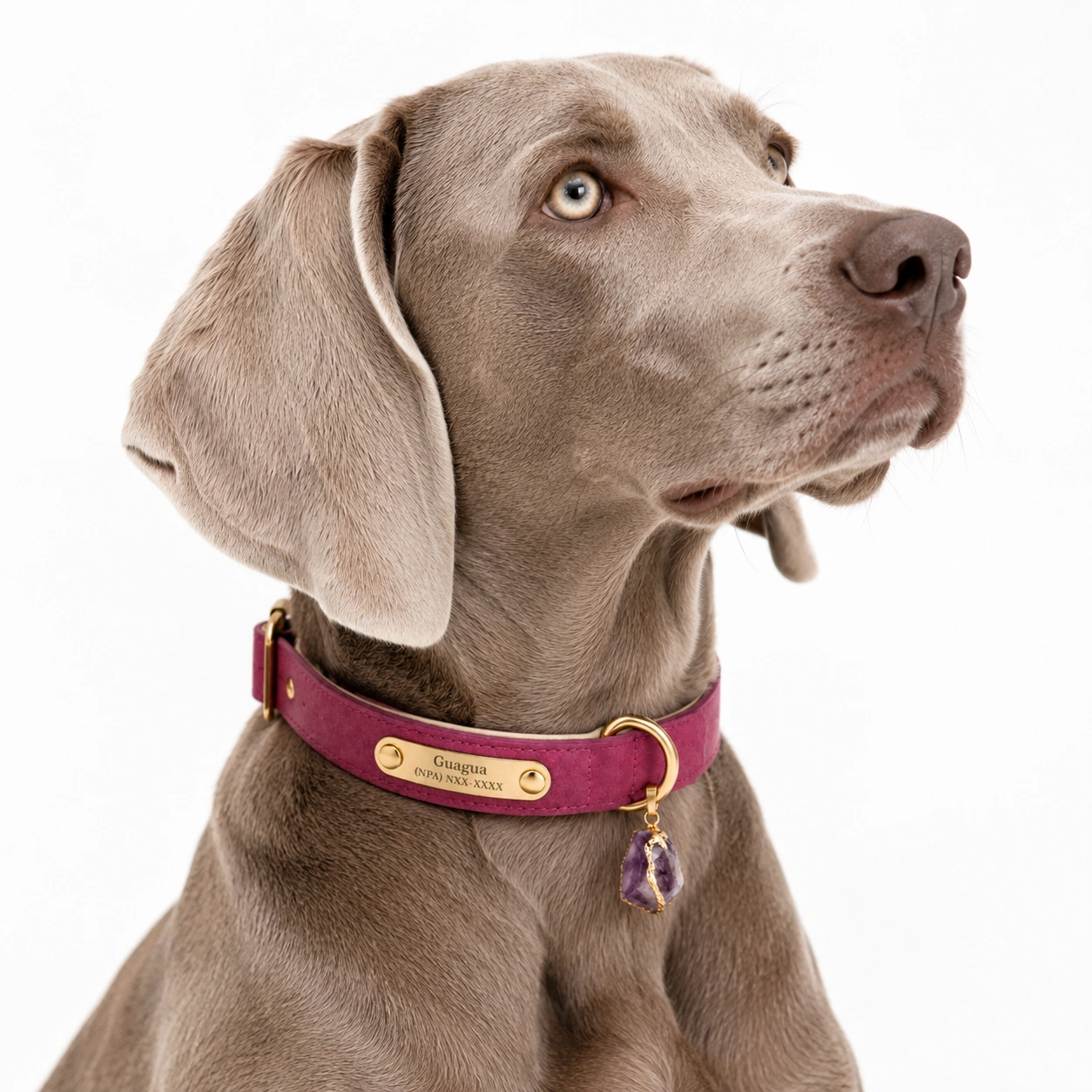 Plum Leather Dog Collar & Leash Set with Amethyst Charm