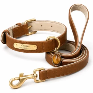 Tiger Eye Dog Collar Set – Brown Leather