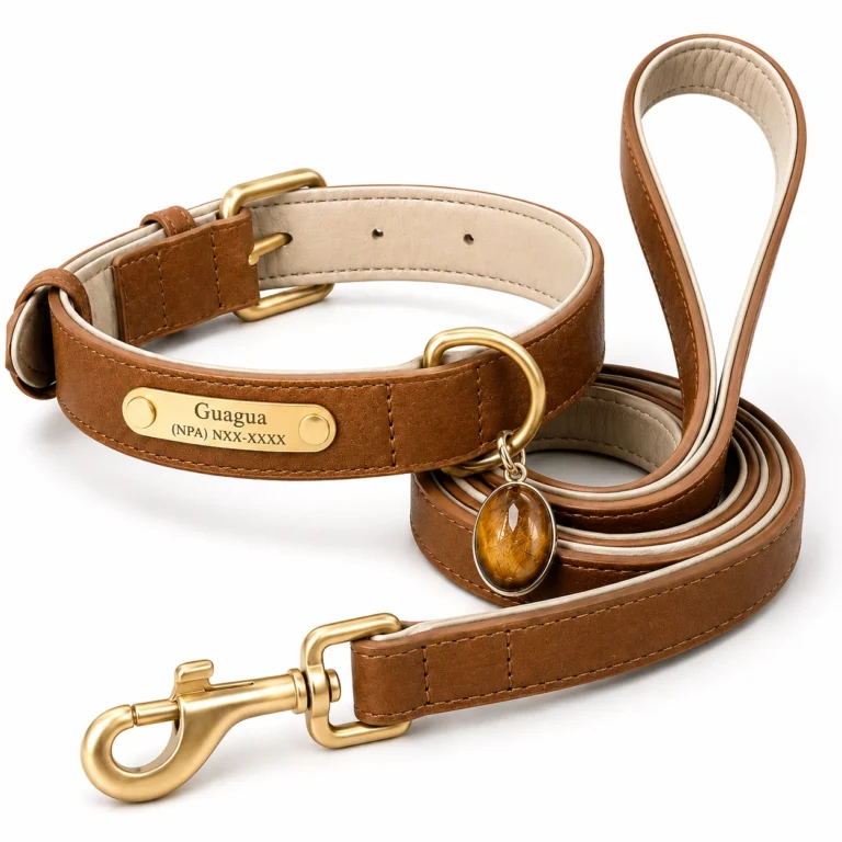 Tiger Eye Dog Collar Set – Brown Leather