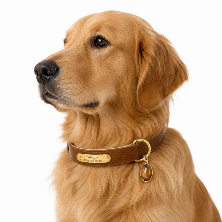 Tiger Eye Dog Collar Set – Brown Leather