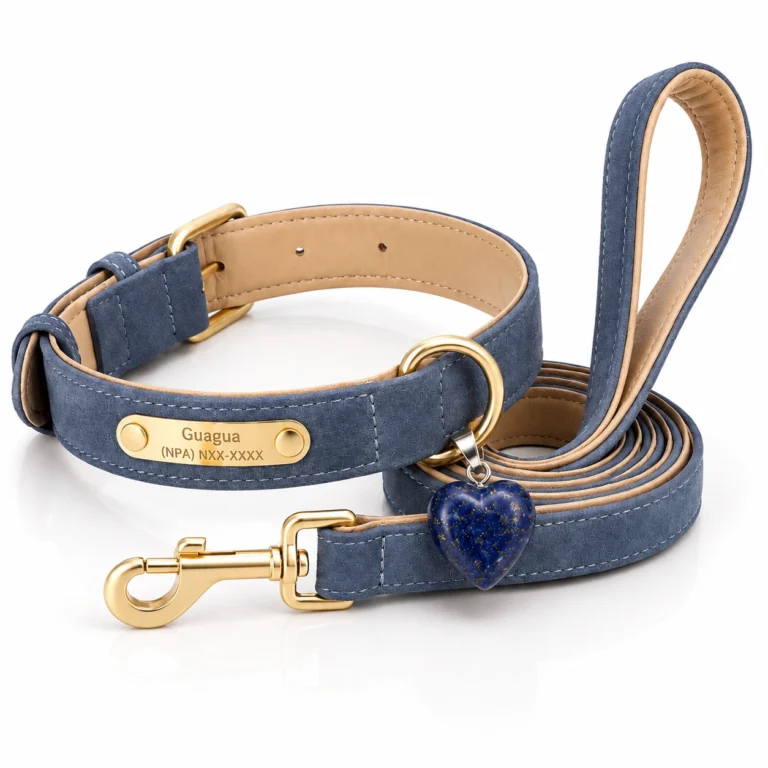 Lapis Heart Charm Dog Collar Set – Navy Leather