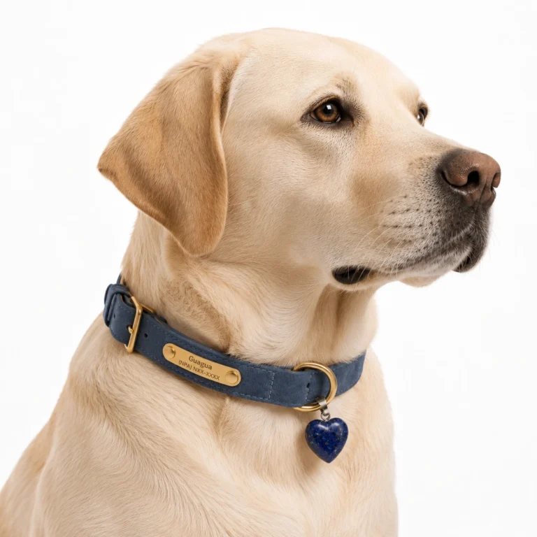 Lapis Heart Charm Dog Collar Set – Navy Leather