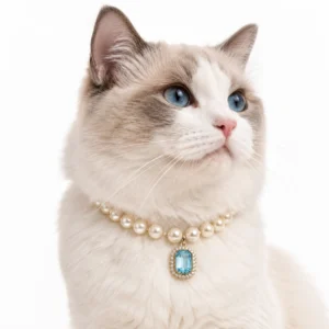 Azure Pearl Cat Collar