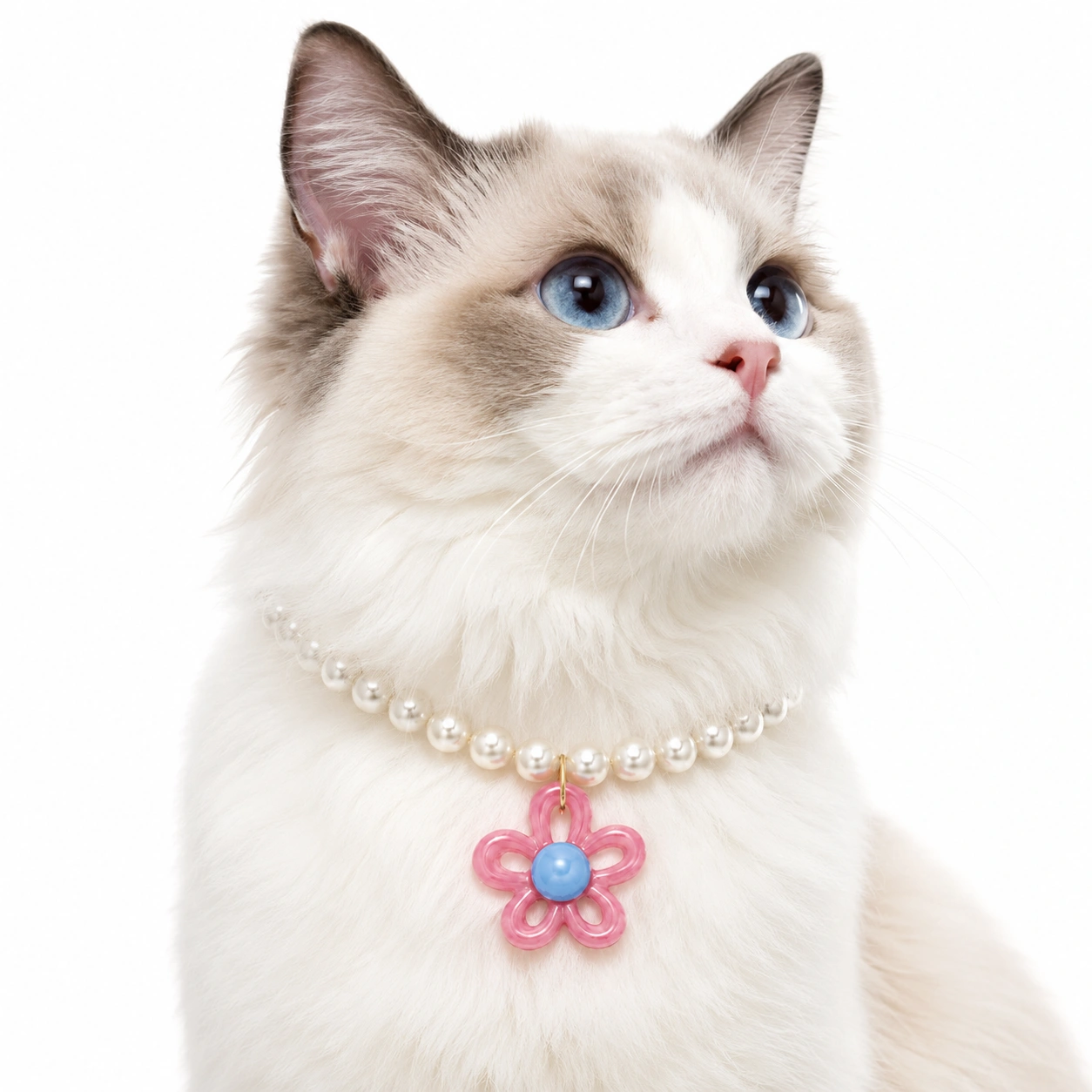Bloom Collar